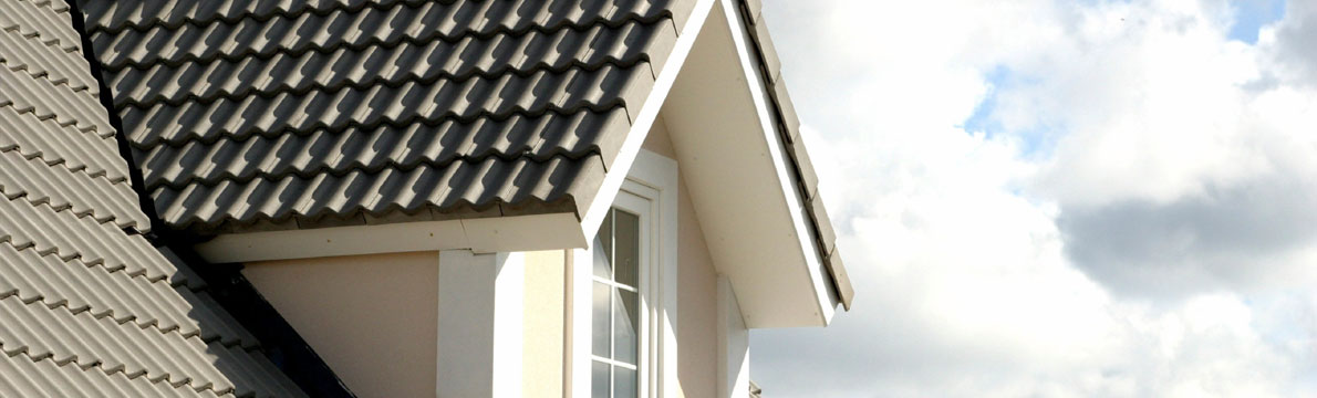 Bioni Roof