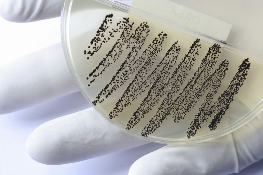 Hygiene & Bacteria
